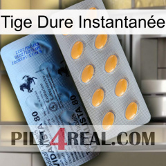 Tige Dure Instantanée 44